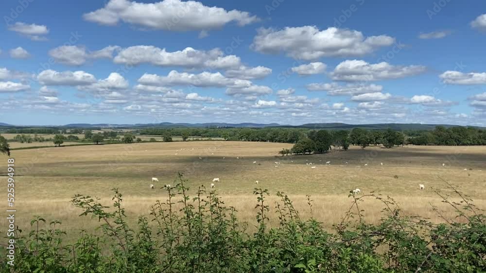 Sticker Paysage rural dans la Nièvre, Bourgogne