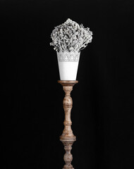 bouquet of white flowers in white vase isolated on black background