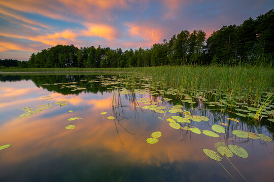Beautiful summer sunrise over lake