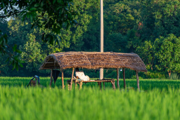 cottage in the farms