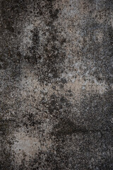 Abstract gray and black background. Wall building Close up. Rough surface plaster with copy space for design or food photo background.