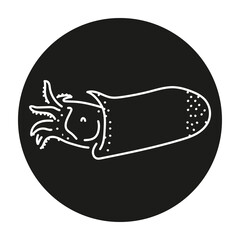 Spirula color line illustration. Ocean fishes