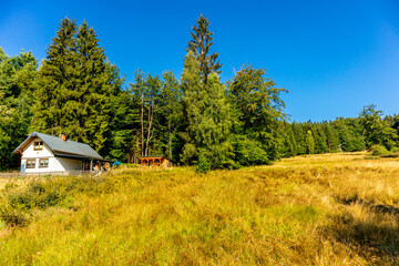 Sommerwanderung entlang des Rennsteigs bei zwischen Brotterode und Eisenach bei schönstem Sonnenschein - Thüringen - Deutschland