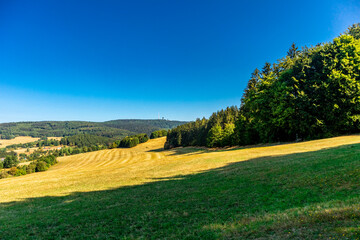 Sommerwanderung entlang des Rennsteigs bei zwischen Brotterode und Eisenach bei schönstem...