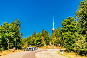 Obraz premium Sommerwanderung entlang des Rennsteigs bei zwischen Brotterode und Eisenach bei schönstem Sonnenschein - Thüringen - Deutschland