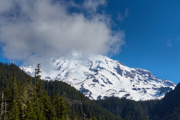 Mt Rainier
