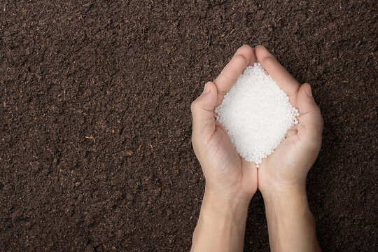 Chemical fertilizers in hand. nitrogen