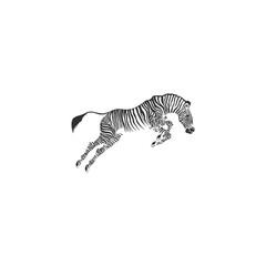 Fototapeta na wymiar Zebra Logo Design Inspiration. Zebra logo on white background
