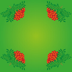 Frame of red berries mountain ash on green background with copy space. Pattern with beautiful rowan with green leaves. Autumn concept.