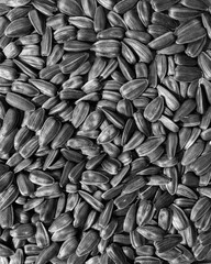 sunflower seeds, isolated, top view, black and white