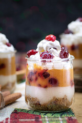Christmas pumpkin and cramberry mousse served in individual glasses