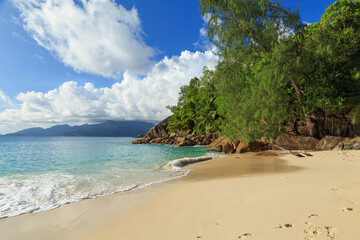 Beautiful view of the coastline with sand, rocks and palm trees from Anse Soleil at Mahé - Seychelles