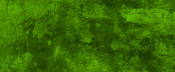green background	