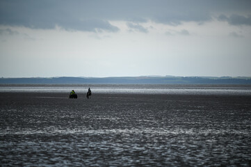 Quad bike and horse on the beach