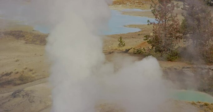 Steam vents and hot ponds bubbling in Yellowstone National Park