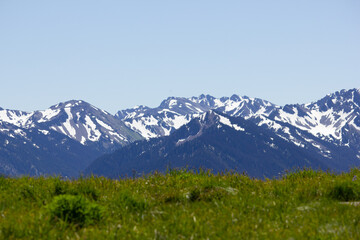 landscape in the mountains in summer