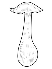 Doodle mushroom vector illustration. Black line art plant icon on white background.
