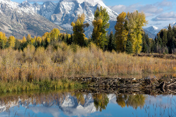 Beaver Dam at Schwabachers Landing