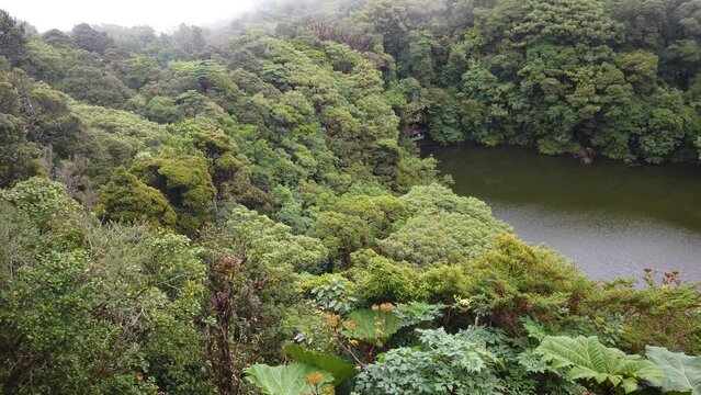 Laguna Botos, a volcanic lake in Poas Volcano National Park of Costa Rica, or Parque Nacional Volcan Poas in Spanish, San Jose, Costa Rica