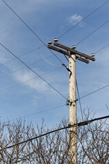 wood utility pole