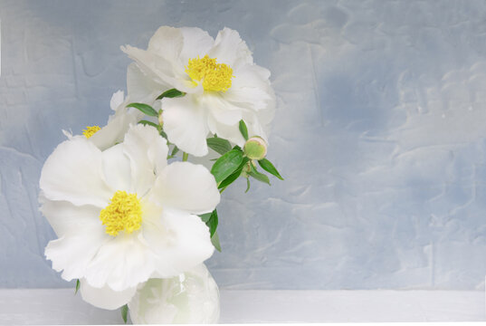 Fototapeta bouquet of white flowers in a vase