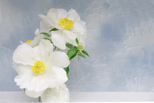 Bouquet Of White Flowers In A Vase