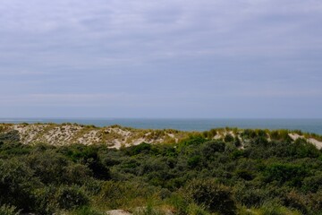 Fototapeta na wymiar Blick auf die Dünen auf die Nordsee 