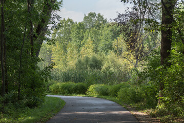 Fototapeta premium A Beautiful Trail Winding Along The River In Summer