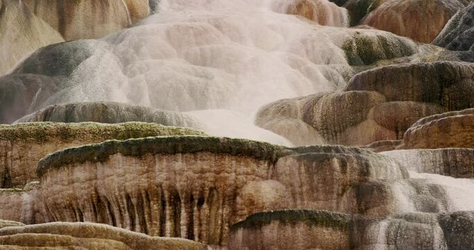 Mammoth  hot springs flowing in Yellowstone National Park