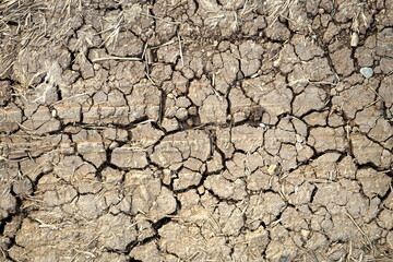 Große Trockenheit oder Dürre mit ausgetrocknetem Boden an der Schwarzmeerküste in Kefken in der...