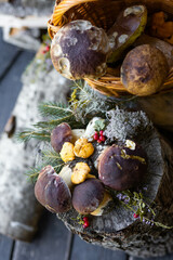 Forest mushroom boletus, cep, porcini, chanterelle collected in a wooden wicker basket. Late summer...