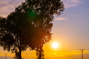 Obraz na płótnie Canvas The setting sun shines through the branches of trees, autumn landscape