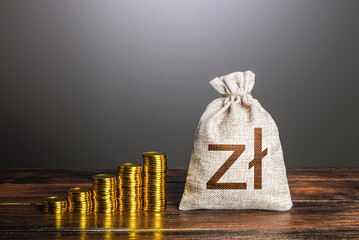 Polish zloty money bag and increasing stacks of coins. Savings. Rise in profits, budget fees. Investments. Financial success. Bonus. Economic growth, GDP. Raise incomes, increase salaries.