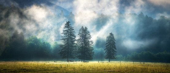 Drei Bäume in niedrigen Wolken bei erstaunlichem Sonnenaufgang in Slowenien. Farbige Landschaft mit grünem Wald im Nebel, gelbes Gras, Berge im Sommer. Landschaft mit Wiesen, nebligen Wäldern, hellen Sonnenstrahlen. Dramatisch © den-belitsky