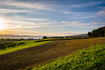 Farmland with Lake View - Sempach, Switzerland