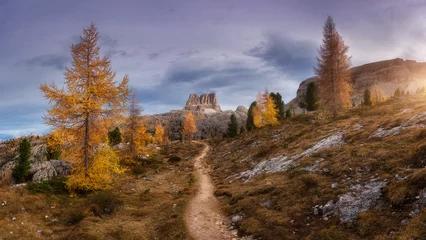 Beautiful orange trees and path in mountains at sunset. Autumn colors in Dolomites alps, Italy. Colorful landscape with forest, rocks, trail, yellow grass and sky with clouds. Hiking in mountains © den-belitsky