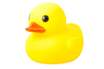 bath Yellow Rubber Duck  on isolate background
