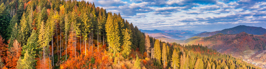 Bright colorful autumn forest and meadow at dawn. Drone view