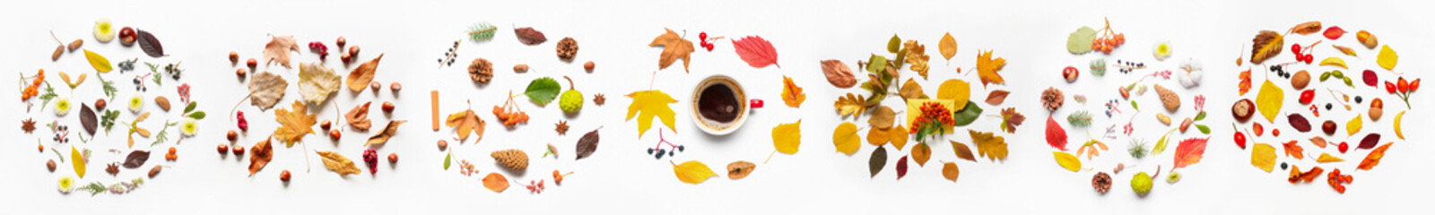 Beautiful autumn compositions on white background
