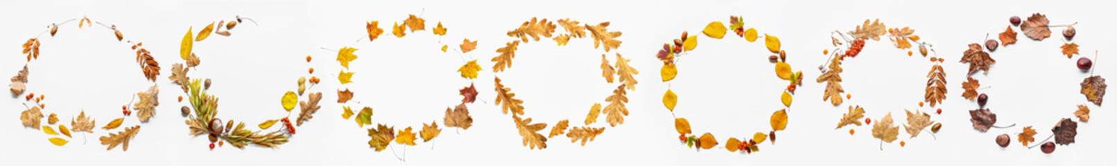 Beautiful autumn frames on white background - obrazy, fototapety, plakaty