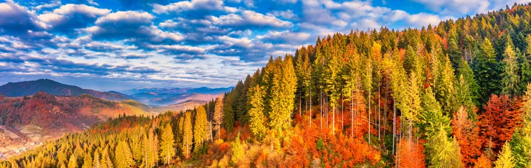 Foto auf Acrylglas Orange Leuchtend bunter Herbstwald und Wiese im Morgengrauen. Drohnenansicht