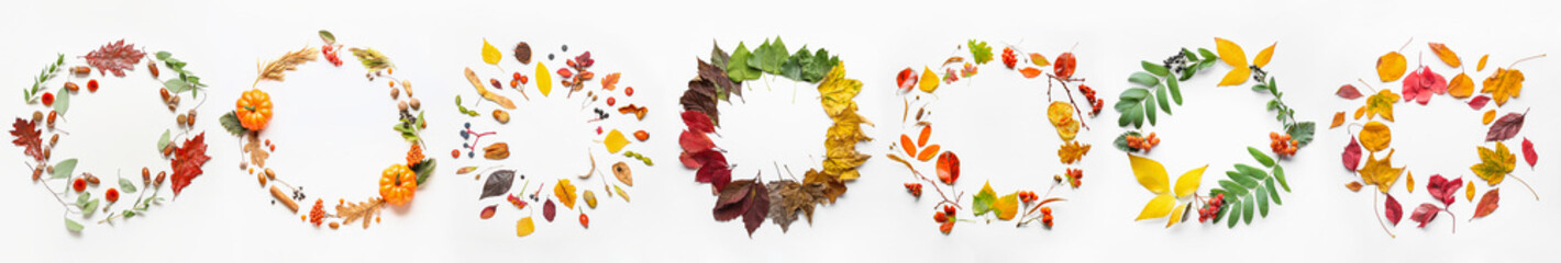 Beautiful autumn frames on white background