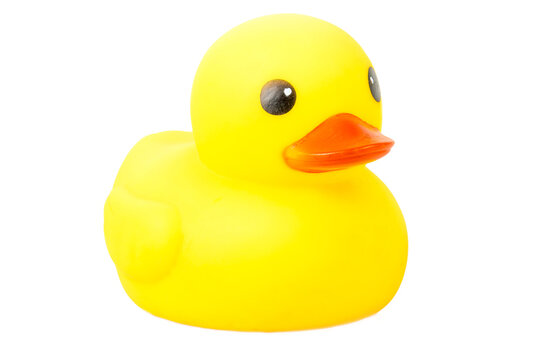 bath Yellow Rubber Duck  on isolate background