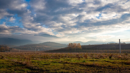 Cloudy sunset over cleared orchard in the Rogue Valley, Southern Oregon
