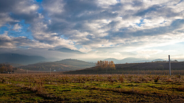 Cloudy sunset over cleared orchard in the Rogue Valley, Southern Oregon