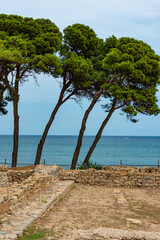 Site archéologique des ruines d'Empuries (Empúries en catalan) : port antique gréco-romain, situé sur la commune de L'Escala, près de Gérone, en Catalogne (Espagne). - 525425105