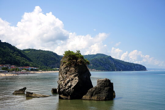 Schroffer Felsen mit einsamem Baum im Sommer bei Sonnenschein am Strand von Inkumu an der Schwarzmeerk&uuml;ste in der Provinz Bartin am Schwarzen Meer in der T&uuml;rkei