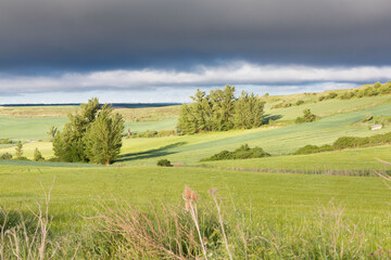 Fields of Castile, Spain in Spring, near the city of Burgos.