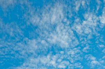 blue background, the photo shows a blue sky and clouds, bottom view