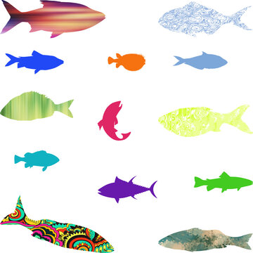 Cute Pattern Fish and Dolphins